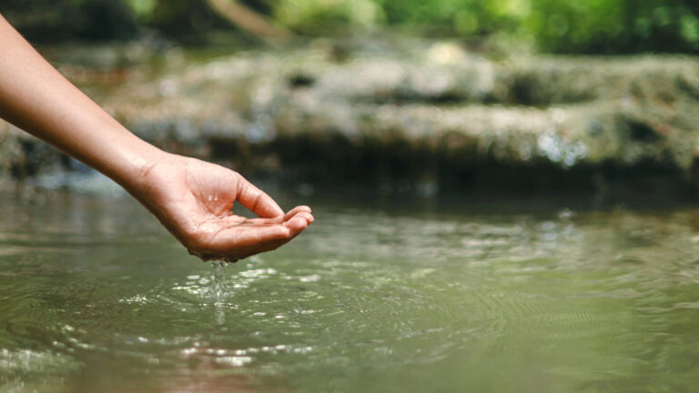 hand-is-reaching-into-body-of-water-possibly-ri-2025-09-01-06-24-34-utc (1)